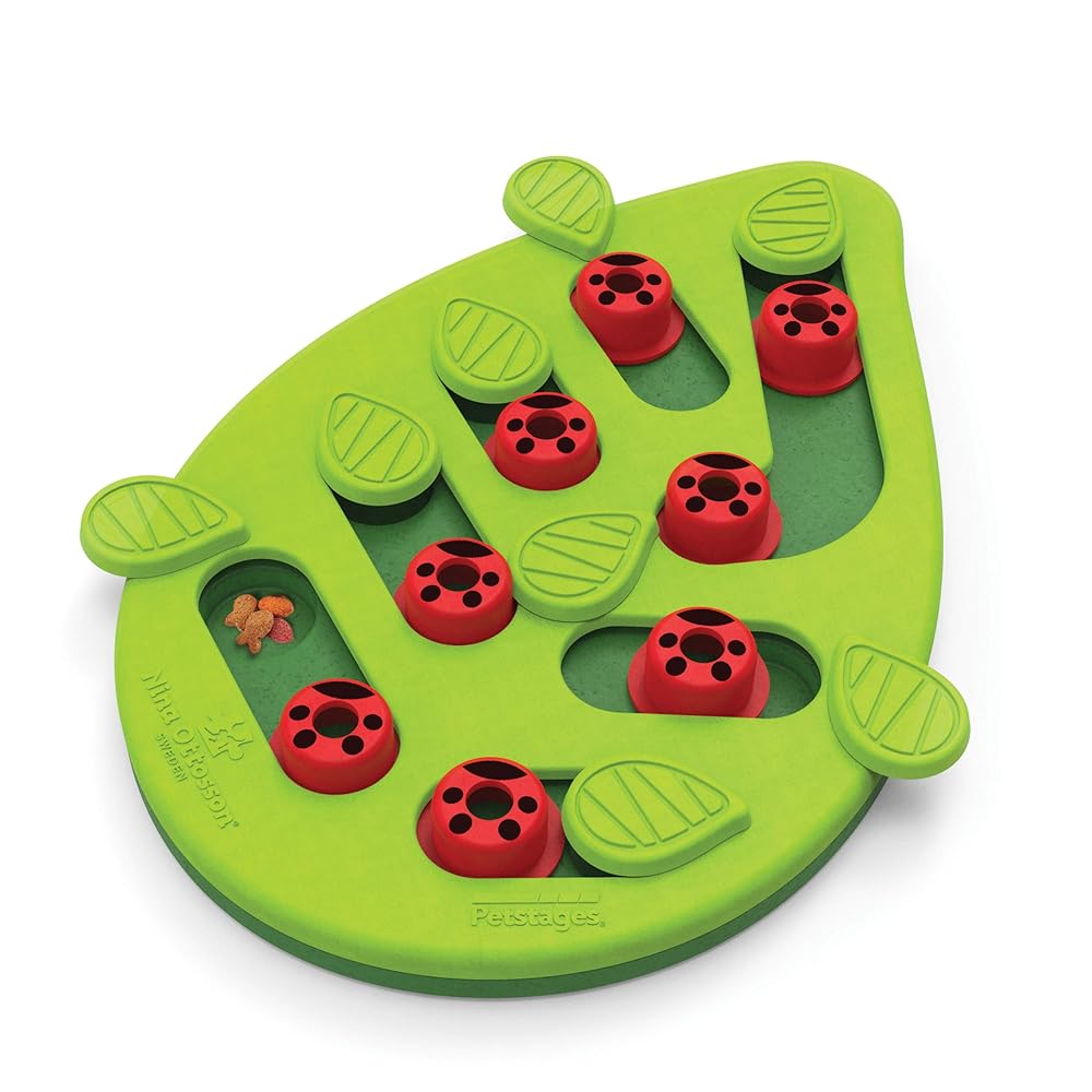Nina Ottosson by Catstages Buggin Out Puzzle and Play interactive cat treat toy