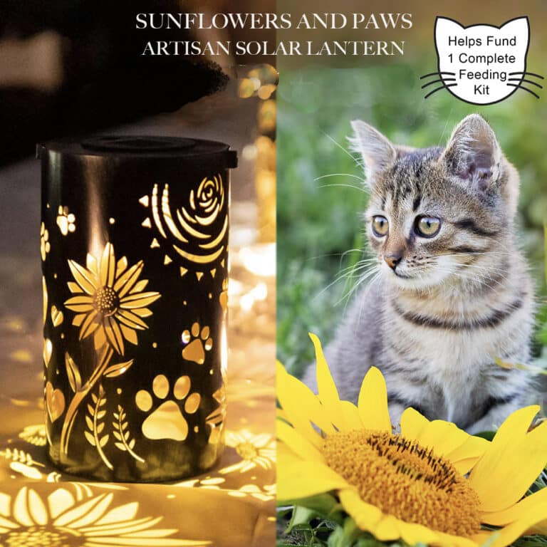 Purrfect Start - Sunflower and Paws - Artisan Shadow Lantern - Saving The Tiniest Lives