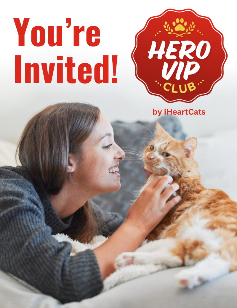 IHC Youre Invited